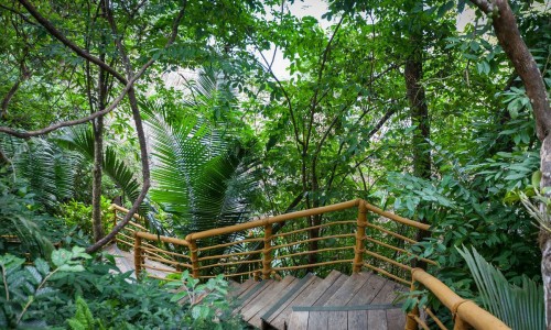 Xinalani Retreat
